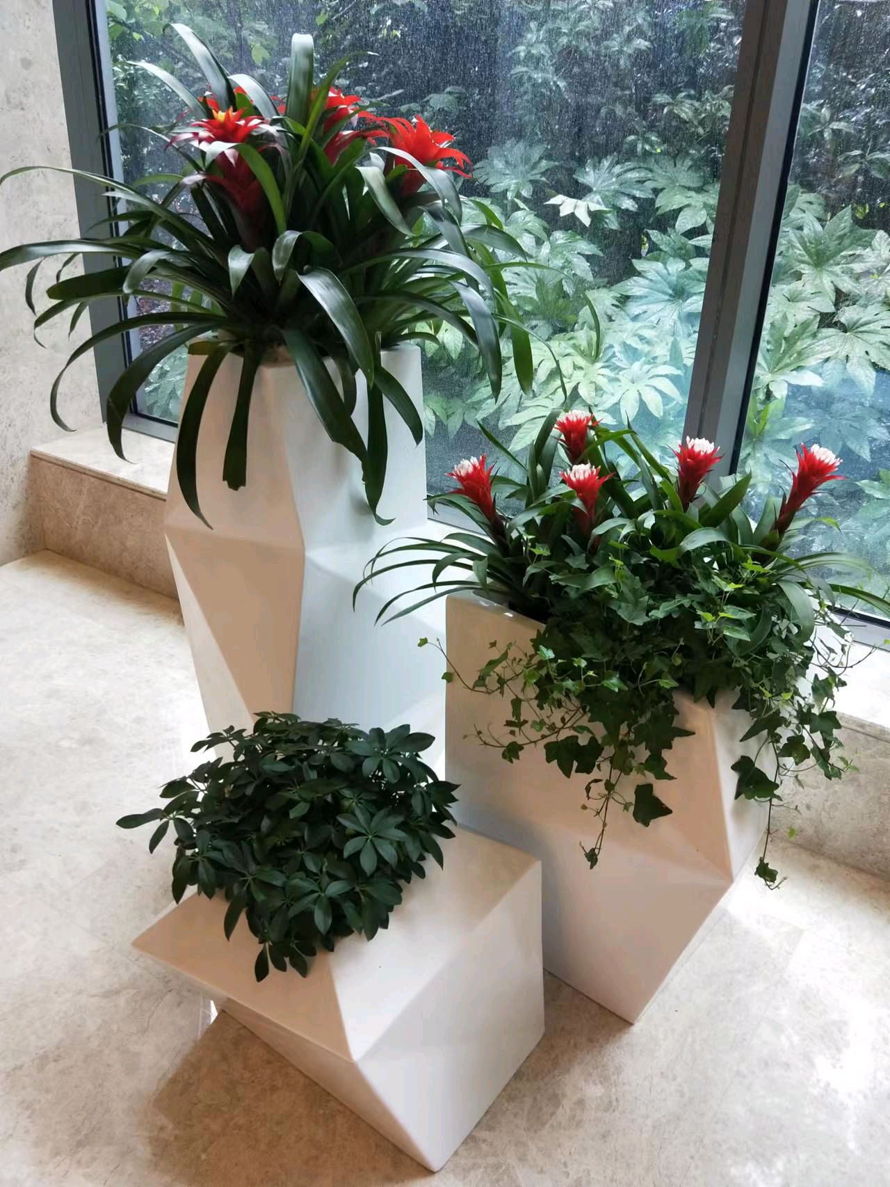 綠色生活，從專業(yè)租賃開(kāi)始 一站式花卉綠植服務(wù)，打造詩(shī)意空間